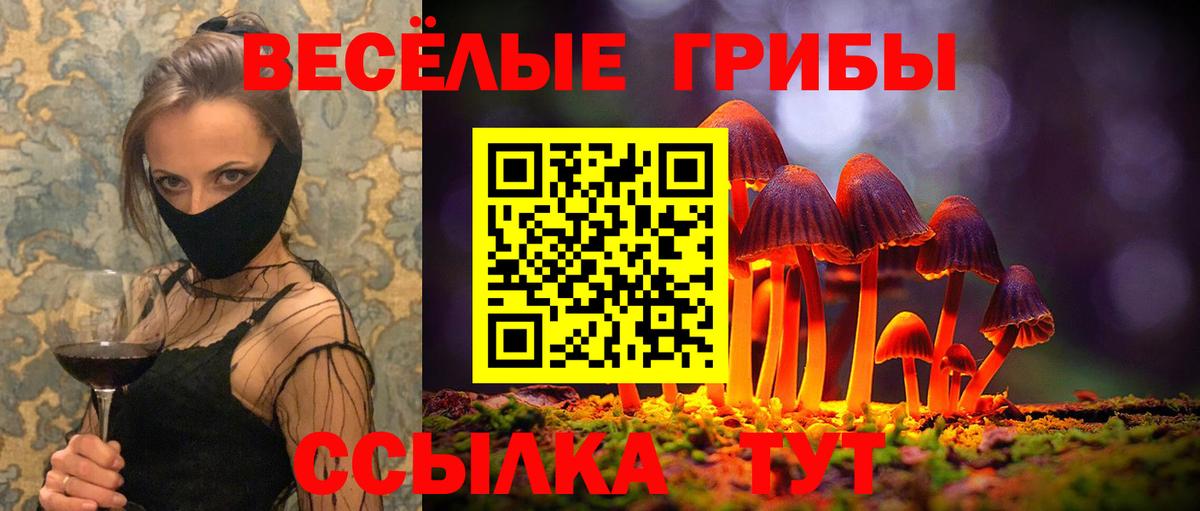 Павлово  Галлюциногенные грибы GOLDEN TEACHER  Вход с VPN  Галлюциногенные грибы ЛСД 